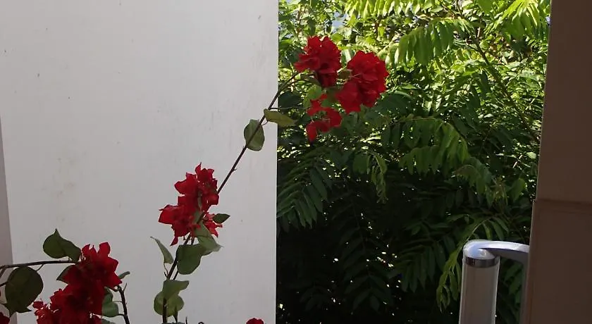 Being Villa Plymouth Trinidad és Tobago